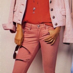 Cabi Brick Dust skinny pants. Size 6